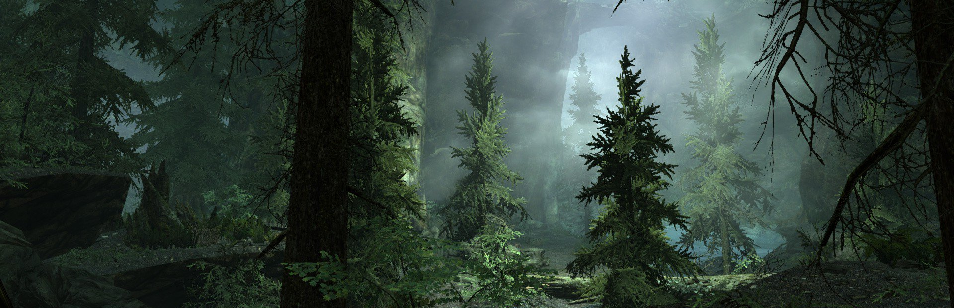 The Forest Background
